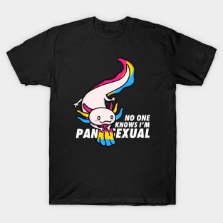 No One Knows I'm Pansexual T-Shirt